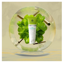 Muat gambar ke penampil Galeri, Azarine Oil Free Brightening Daily Moisturizer (100% ORIGINAL) BPOM